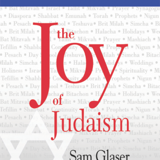 The Joy of Judaism Book